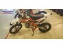 2022 Kayo TT 125 for sale 201141590